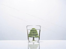 關于健康水的爭論，不得不戰的純水機與凈水器